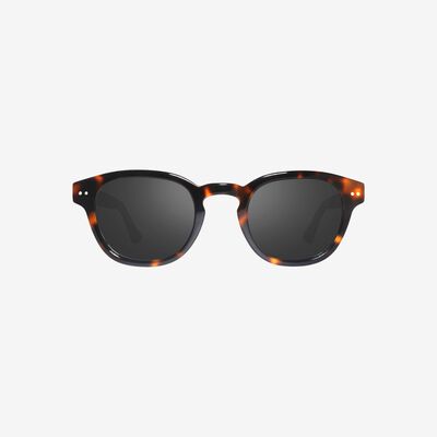 Revo Sterling Shiny Tortoise Graphite Sunglasses