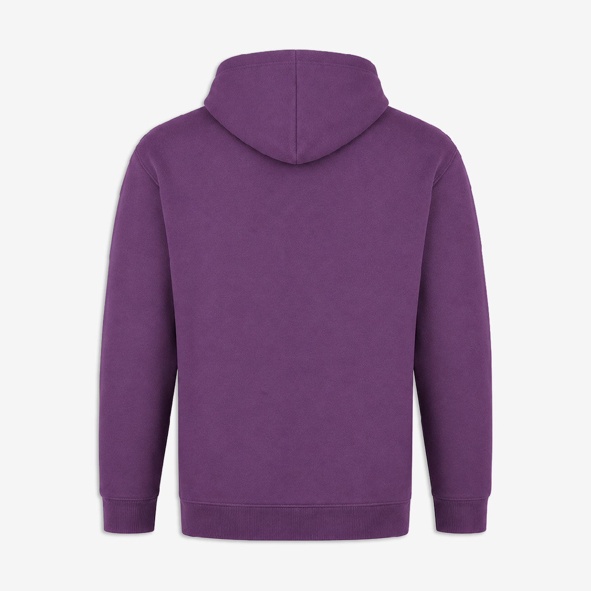 Hard Rock Color Vibes Pullover Hoodie in Washed Plum | Online Rock
