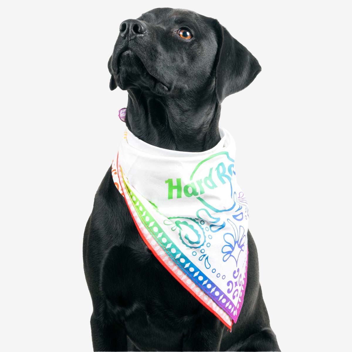 Pride Rainbow Bandana with Logo image number 2