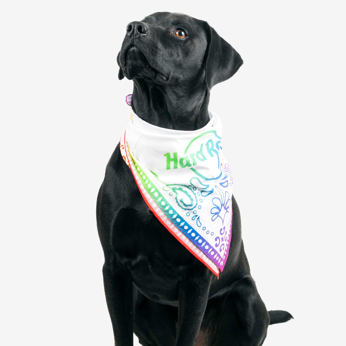 Pride Rainbow Bandana with Logo image number 5